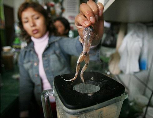 món ăn đáng sợ,nổi da gà với món ăn đáng sợ,món ăn kỳ lạ trên thế giới,trứng vịt lộn,