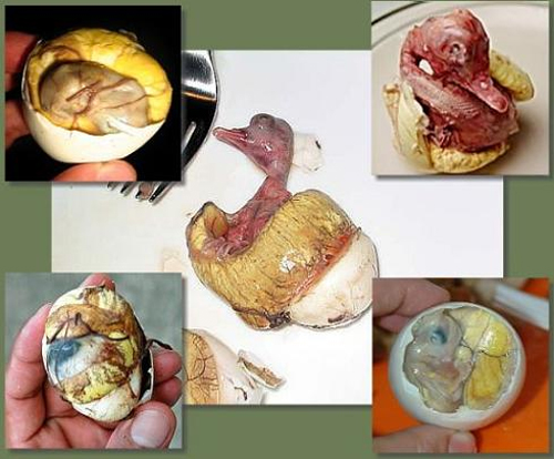món ăn đáng sợ,nổi da gà với món ăn đáng sợ,món ăn kỳ lạ trên thế giới,trứng vịt lộn,