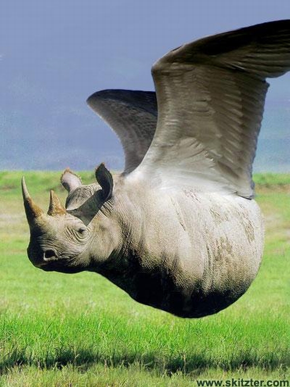 hình ảnh động vật , photoshop , động vật bị photoshop , cười , hài hước , tin ngôi sao