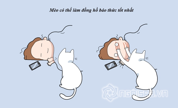10 lợi ích của việc nuôi mèo,bộ hình vui nhộn về lợi ích của mèo,lợi ích của việc nuôi mèo bạn không ngờ tới,nuôi mèo