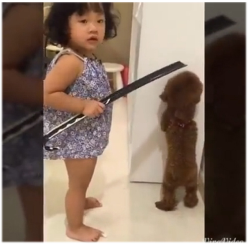 Đầu xù lớn mắng đầu xù bé, Clip hot, Clip giải trí, Clip hài
