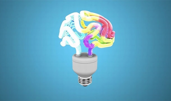 sự thật không tưởng về bộ não, sự thật về bộ não, bộ não, sự thật về bộ não con người, bộ não con người, sự thật về bộ não người, tin, bao