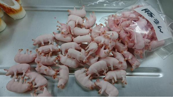 món lợn nguyên con,món ăn kinh dị tại Nhật Bản,ẩm thực Nhật Bản,món ăn Nhật Bản,thịt lợn Nhật Bản