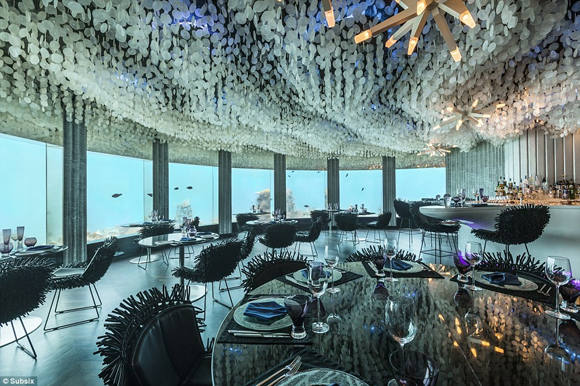 nhà hàng dưới nước,du ngoạn nhà hàng dưới nước,nhà hàng dưới nước đẹp huyền ảo,nhà hàng dưới nước ở Maldives