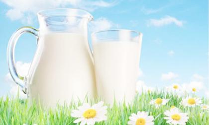 thói quen bảo quản sữa, bảo quản sữa, bảo quản sữa ở cánh cửa tủ lạnh, thói quen bảo quản sữa ở cánh tủ lạnh