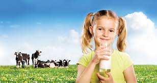 sai lầm khi bảo quản sữa, sữa tươi, sữa thanh trùng, hạn sử dụng, nhiệt độ thường, giá trị dinh dưỡng