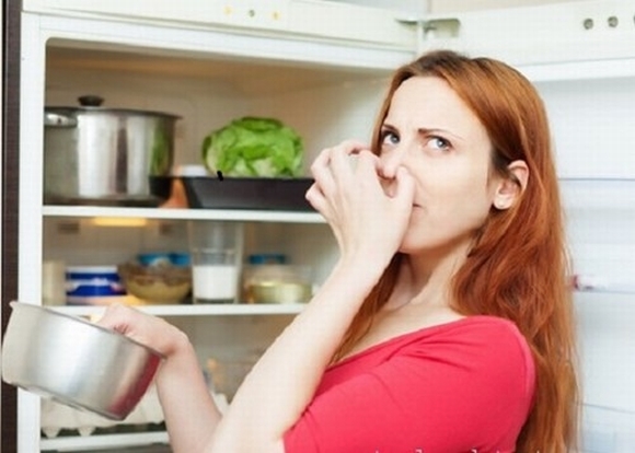 Cách khử mùi hiệu quả cho các vật dụng trong phòng bếp, khử mùi, nhà bếp, vẹ sinh, mẹo vặt, tin ngôi sao