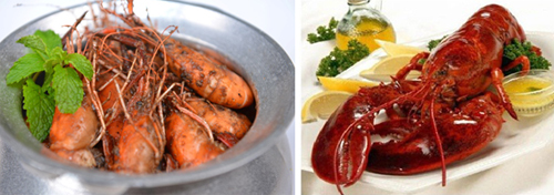 Vương Quốc Tôm, Nhà hàng hải sản Vương Quốc Tôm, Hải sản Vương Quốc Tôm, Vương Quốc Tôm khuyến mại