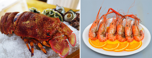 Vương Quốc Tôm, Nhà hàng hải sản Vương Quốc Tôm, Hải sản Vương Quốc Tôm, Vương Quốc Tôm khuyến mại