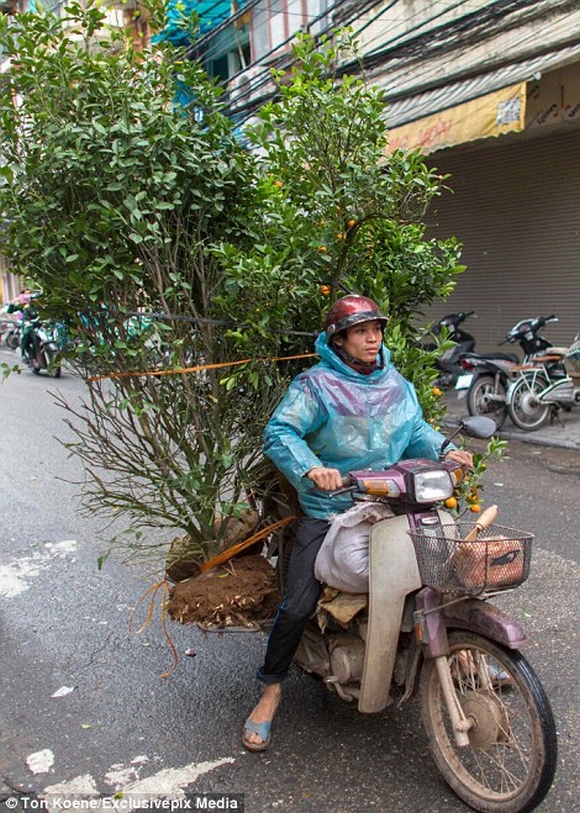Những hình ảnh chở cồng kềnh quá tải ở Việt Nam lên báo nước ngoài 8