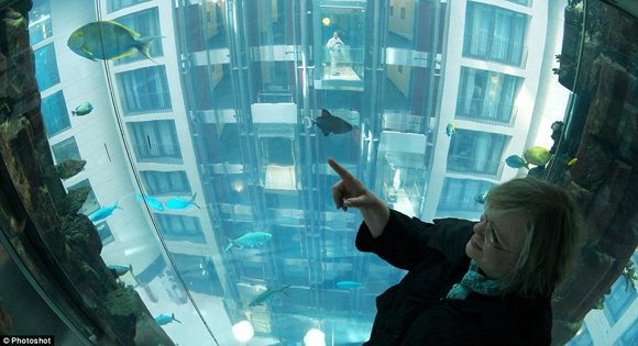 thủy cung hình trụ,thủy cung hình trụ AquaDom,thủy cung hình trụ lớn nhất thế giới,thủy cung hình trụ tuyệt vời nhất thế giới