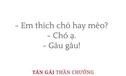 ăn mừng chiến thằng không giống ai, tạo dáng nguy hiểm trên xe, ăn mừng chiến thắng, giới trẻ
