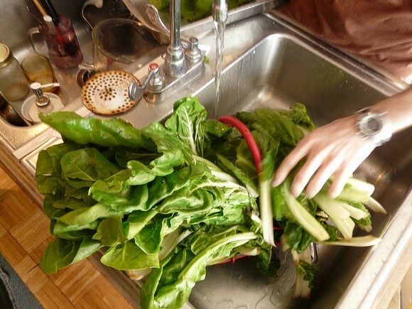 sử dụng rau, sai lầm khi sử dụng rau, ăn rau đúng cách, sử dụng rau đúng cách, sử dụng rau hợp vệ sinh, tin, bao