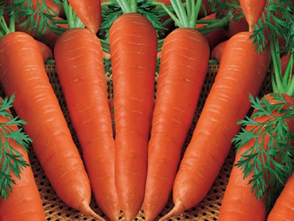 cà rốt, công dụng của cà rốt, làm đẹp bằng cà rốt, bí quyết làm đẹp từ cà rốt, quả cà rốt, khỏe đẹp, làm đẹp, phương pháp làm đẹp tự nhiên