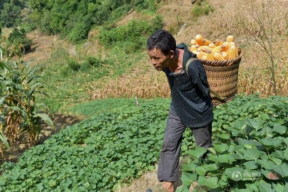 chăm sóc mẹ, chăm sóc mẹ liệt giường, chăm sóc mẹ dù cụt cả 2 tay, chăm sóc mẹ già liệt giường, chăm sóc mẹ già dù liệt của 2 tay, tin, bao