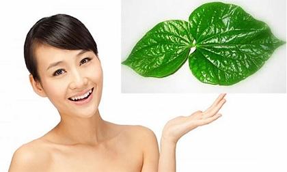 Khói hương, Khói hương chứa nhiều độc, sức khỏe, gây hại, tin ngôi sao