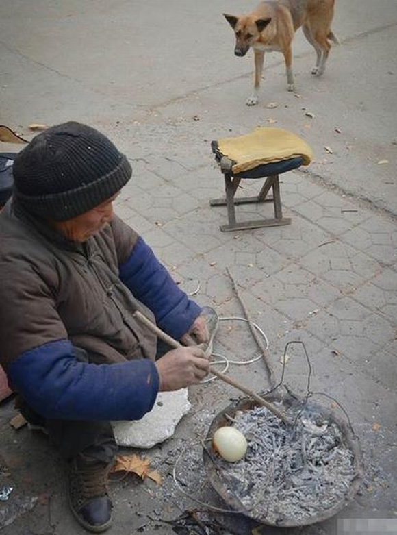 chó đẩy xe lăn cho chủ bị tàn tật, chó đẩy xe lăn cho chủ, chó , câu chuyện cảm động, mưu sinh, cộng đồng, tin ngôi sao