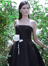 Janine Tugonon, Á hậu hoàn vũ thế giới, thiết kế Đỗ Mạnh Cường, sao Việt,  Miss Philippines Universe 2012