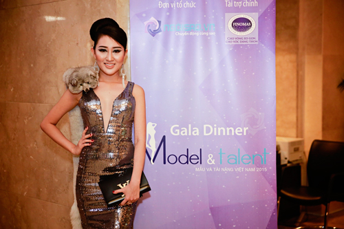 Huỳnh Thúy Anh, Hoa hậu Huỳnh Thúy Anh, Sao việt