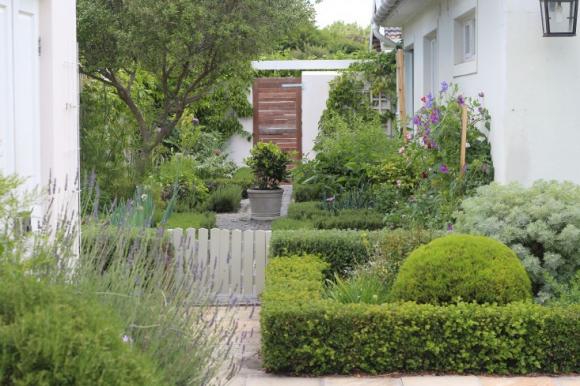 nhà đẹp, vườn nhà đẹp, trồng cây ở nhà, vườn nhà xanh mướt