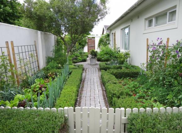 nhà đẹp, vườn nhà đẹp, trồng cây ở nhà, vườn nhà xanh mướt