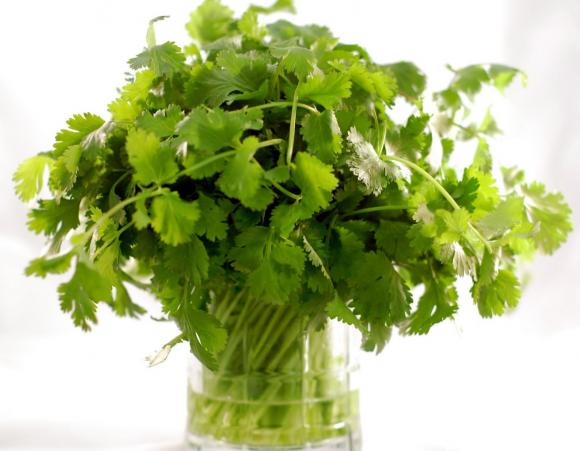 Tác dụng của rau mùi, chống ung thư, tốt cho hệ xương, kiểm soát lượng đường trong máu, hàm lượng canxi cao, chất chống oxy hóa