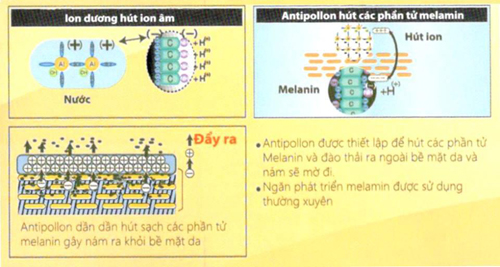 Mỹ phẩm Vivant Joie, Mỹ phẩm giúp da trắng hồng, Làm mờ vết nám