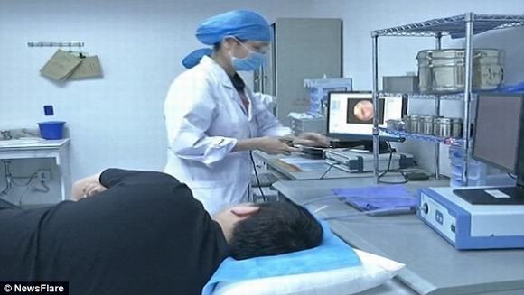 con giòi, con giòi trong tai, nhiễm ký sinh trùng, lấy giòi trong tai