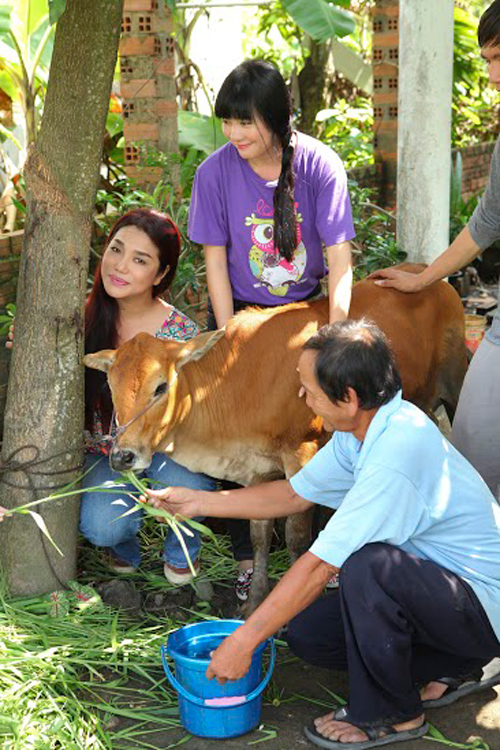 Minh Béo, Sân khấu sao Minh Béo, Sao Việt