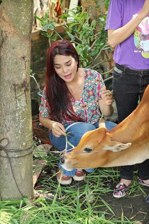 Minh Béo, Sân khấu sao Minh Béo, Sao Việt