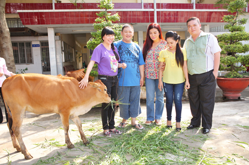 Minh Béo, Sân khấu sao Minh Béo, Sao Việt