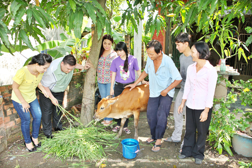 Minh Béo, Sân khấu sao Minh Béo, Sao Việt