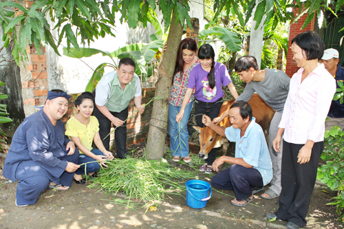 Minh Béo, Sân khấu sao Minh Béo, Sao Việt