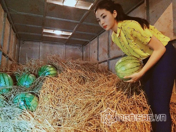 hoa hậu Việt, nỗi khổ của hoa hậu, Hoa hậu Việt Nam, Hoa hậu Hoàn vũ Phạm Hương, Hoa hậu Kỳ Duyên, Hoa hậu Mai Phương Thúy, Hoa hậu Đặng Thu Thảo, sao việt