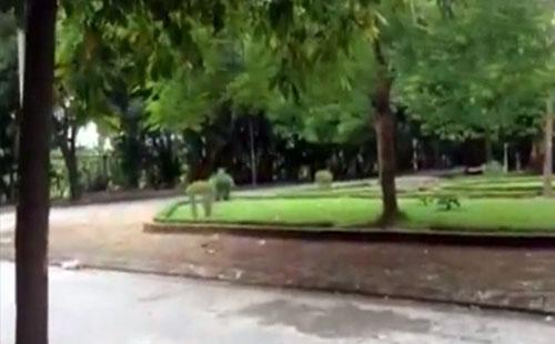 bé trai 3 tuổi bị bắt cóc, bắt cóc, bé 3 tuổi hà nội bị bắt cóc, bắt cóc tống tiền