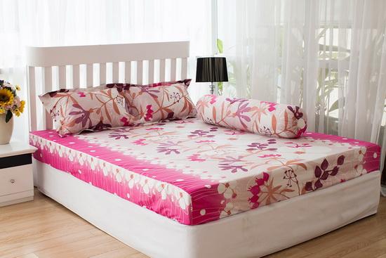 edena-2311-2-ngoisao 5 Edena Crazy Sale, Edena khuyến mại, Chăm ga gối nệm Edena