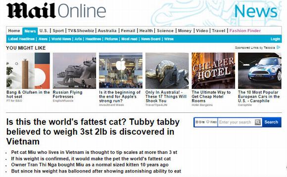 chú mèo lớn nhất thế giới, chú mèo, chú mèo lớn nhất thế giới khiến báo Anh kinh ngạc, chú mèo béo nhất thế giới, mèo, chú mèo lớn nhất thế giới ở Việt Nam, tin, bao