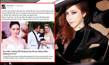Trương Hồ Phương Nga, Trương Hồ Phương Nga lừa đảo, Trương Hồ Phương Nga bị bắt, Trương Hồ Phương Nga đi tù