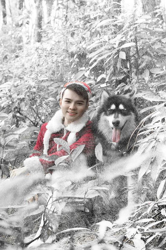 MC Trường Giang, Sao Việt, Tin sao việt