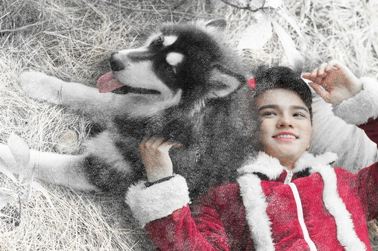 MC Trường Giang, Sao Việt, Tin sao việt