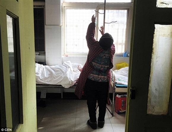 ngôi làng aids, ngôi làng aids ở trung quốc, đại dịch hiv/aids, tin, bao