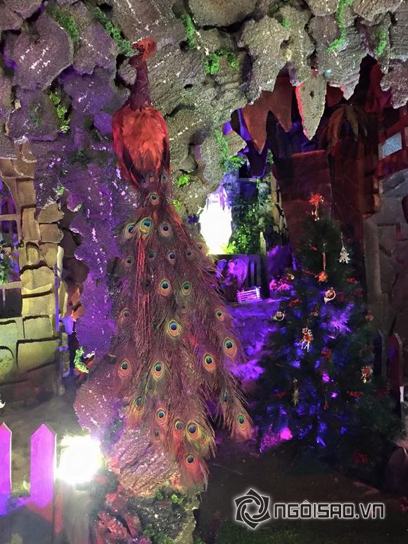 Đàm Vĩnh Hưng, Đàm Vĩnh Hưng trang trí Noel, ông hoàng nhạc việt