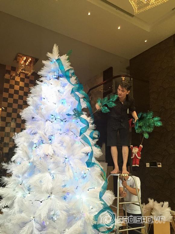 Đàm Vĩnh Hưng, Đàm Vĩnh Hưng trang trí Noel, ông hoàng nhạc việt