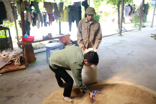 Mai Trần Lâm, Sao Việt, Solo cùng Bolero