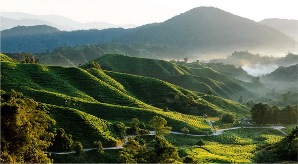 sua-bap-non-lif-32-2-ngoisao 4 Xu hướng trong năm 2016, Sữa Bắp Non LiF, Xu hướng giới trẻ