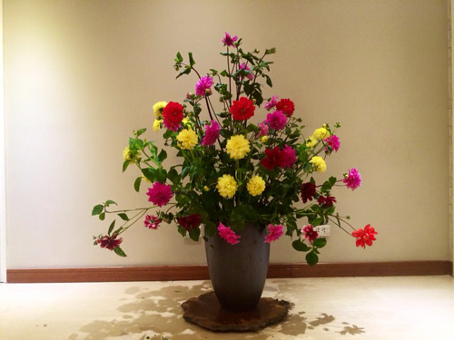 Hoa cắm Tết rước may mắn đến nhà, Phong thủy 2016, Loài hoa may mắn
