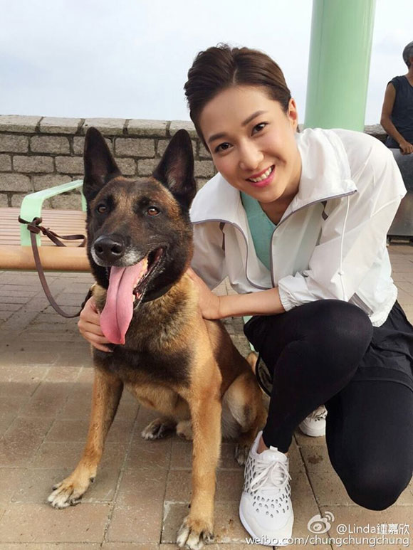 sao nữ TVB,sao nữ TVB Chung Gia Hân,sao nữ TVB nói tiếng Anh quá nhiều