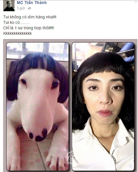 Trấn Thành, Trấn Thành dìm hàng Thu Trang, Trấn Thành bị ném đá