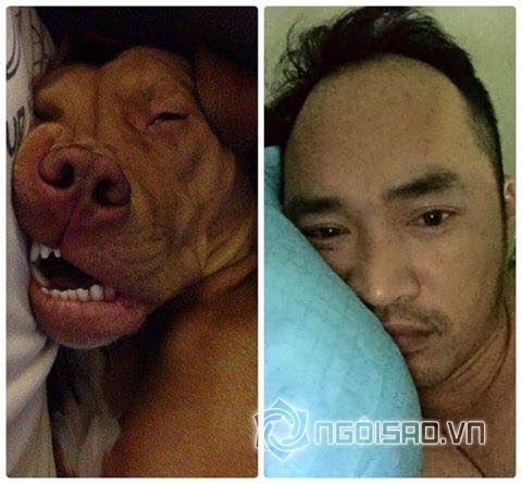 sao việt, sao việt với động vật, trào lưu so sánh động vật với sao việt
