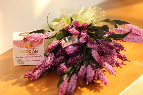 Mỹ phẩm Ngọc Ân, Nám da, Trị nám da